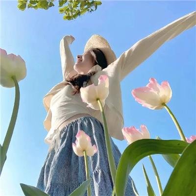 自有云霄万里高