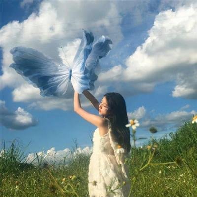 桃乐丝·罗奇的恐惧